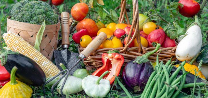 5 astuces pour utiliser les légumes frais du potager dans vos recettes